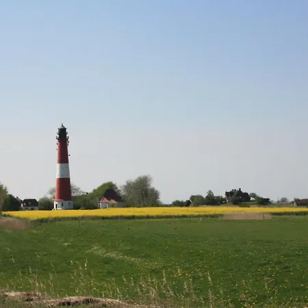 Tammwarftshof 펠웜