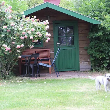 Tammwarftshof Apartmán *