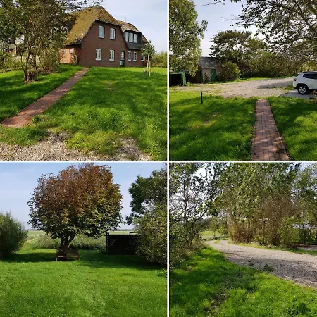 아파트 Tammwarftshof *